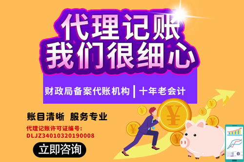 肥东公司记账代理后每年需要缴纳的费用明细